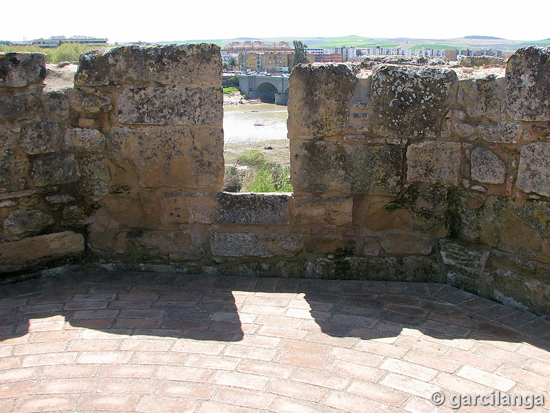 Muralla del Río del Alcázar Viejo y Huerta del Alcázar