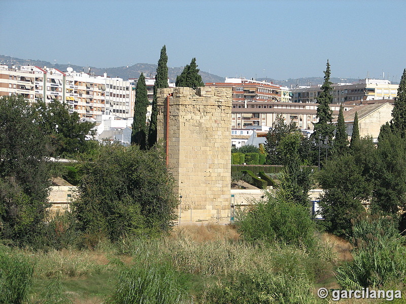 Muralla del Río del Alcázar Viejo y Huerta del Alcázar