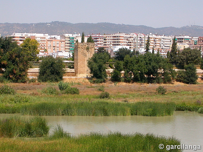 Muralla del Río del Alcázar Viejo y Huerta del Alcázar