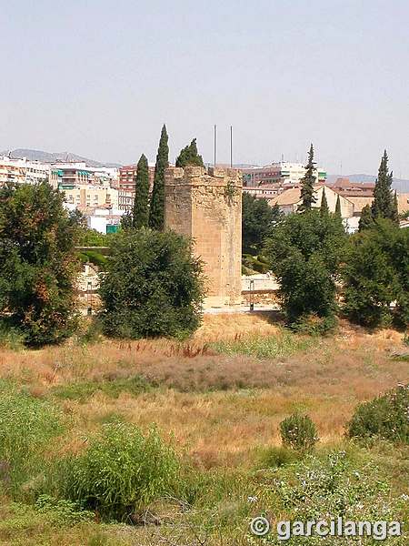 Muralla del Río del Alcázar Viejo y Huerta del Alcázar