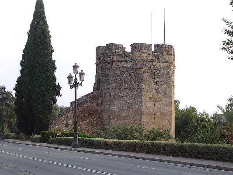 Muralla del Río del Alcázar Viejo y Huerta del Alcázar