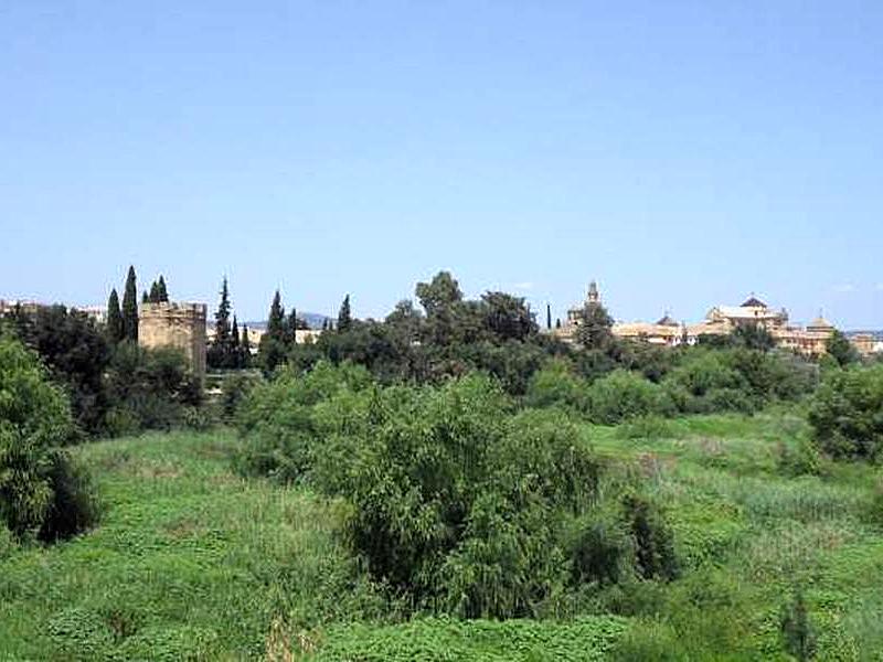 Muralla del Río del Alcázar Viejo y Huerta del Alcázar