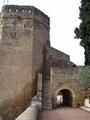 Muralla del Río del Alcázar Viejo y Huerta del Alcázar