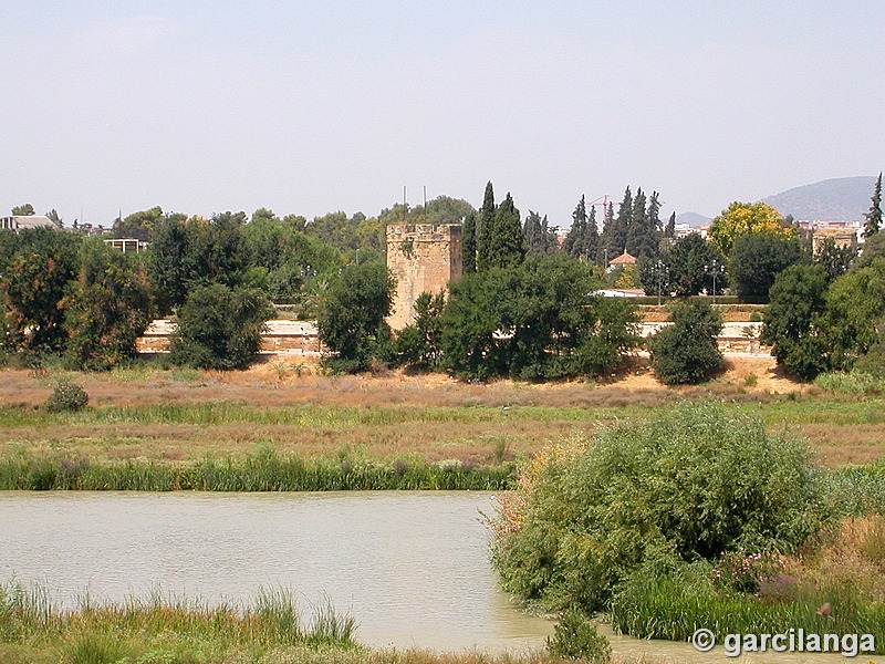 Recinto murado Alcázar Viejo y Huerta del Alcázar