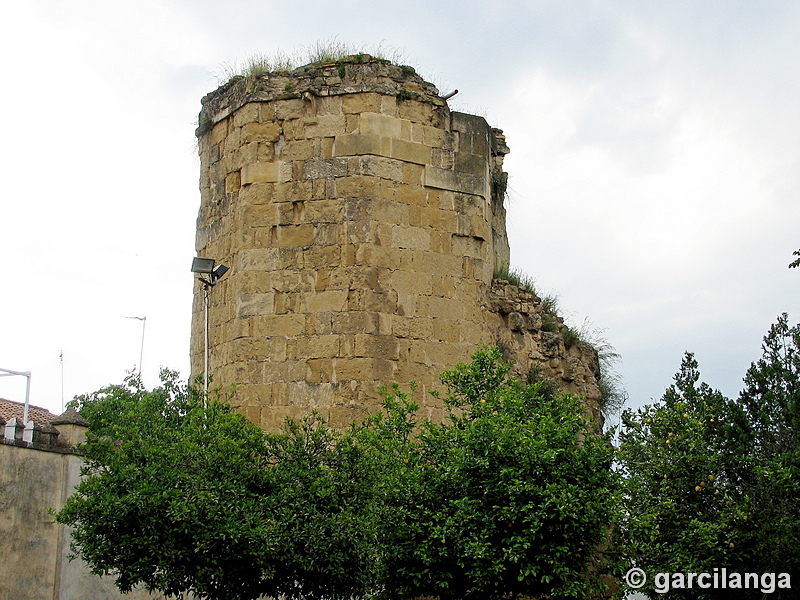 Recinto murado Alcázar Viejo y Huerta del Alcázar