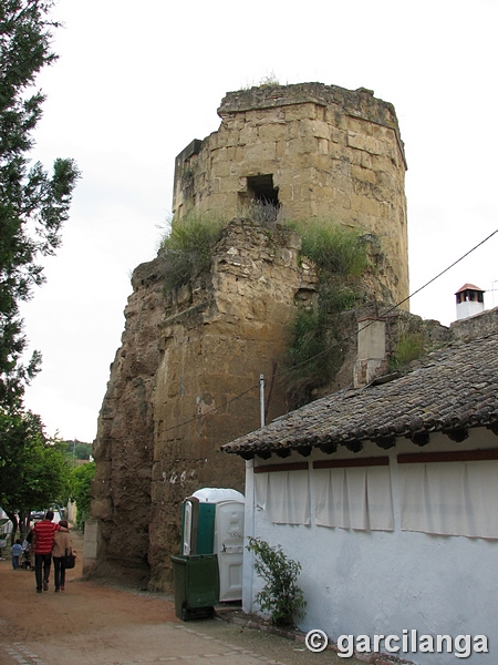 Recinto murado Alcázar Viejo y Huerta del Alcázar