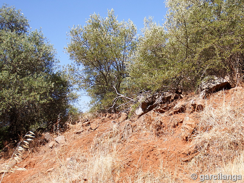 Recinto fortificado de Cabeza de Vaca