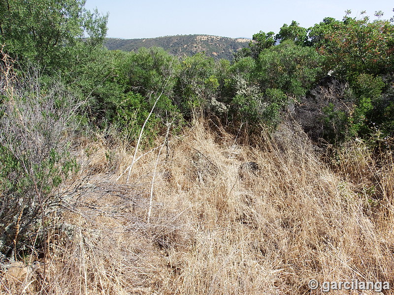 Recinto fortificado de Cabeza de Vaca