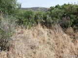 Recinto fortificado de Cabeza de Vaca