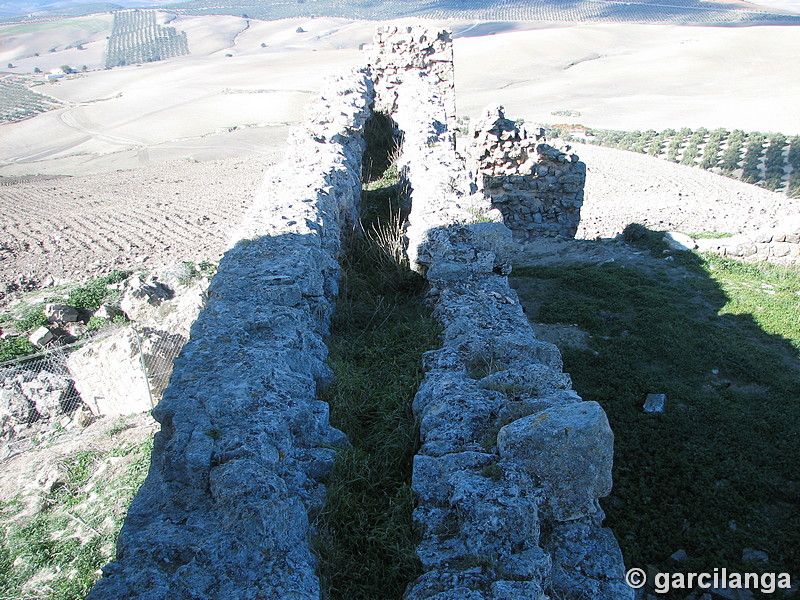 Castillo de Castro el Viejo