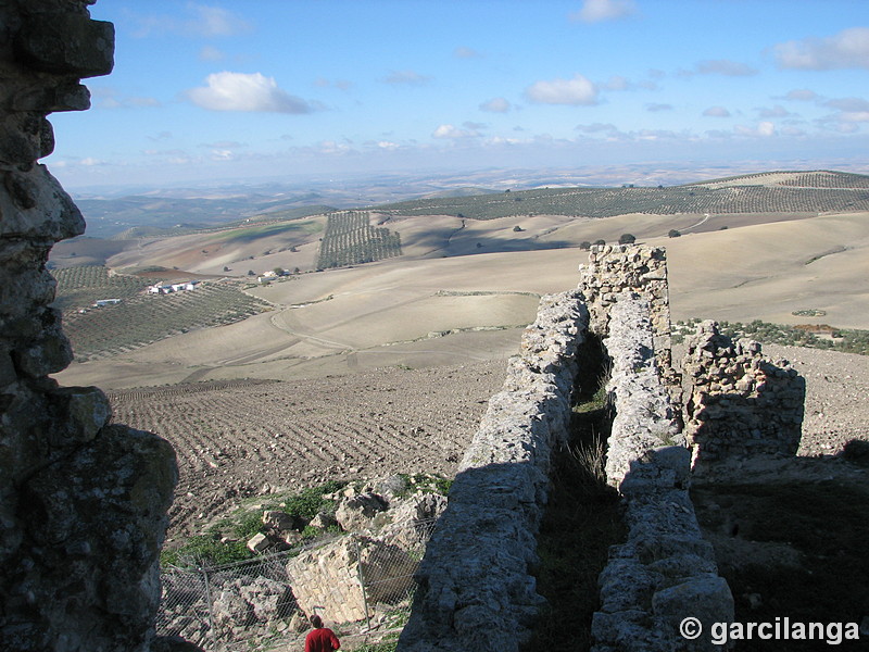 Castillo de Castro el Viejo