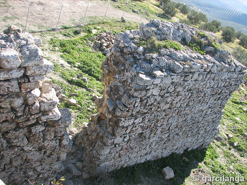 Castillo de Castro el Viejo