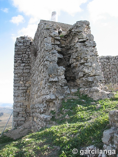 Castillo de Castro el Viejo