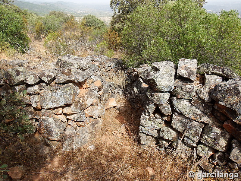 Trincheras de la Loma de Buenavista