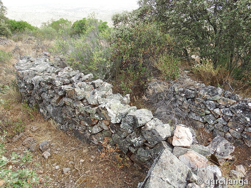 Trincheras de la Loma de Buenavista