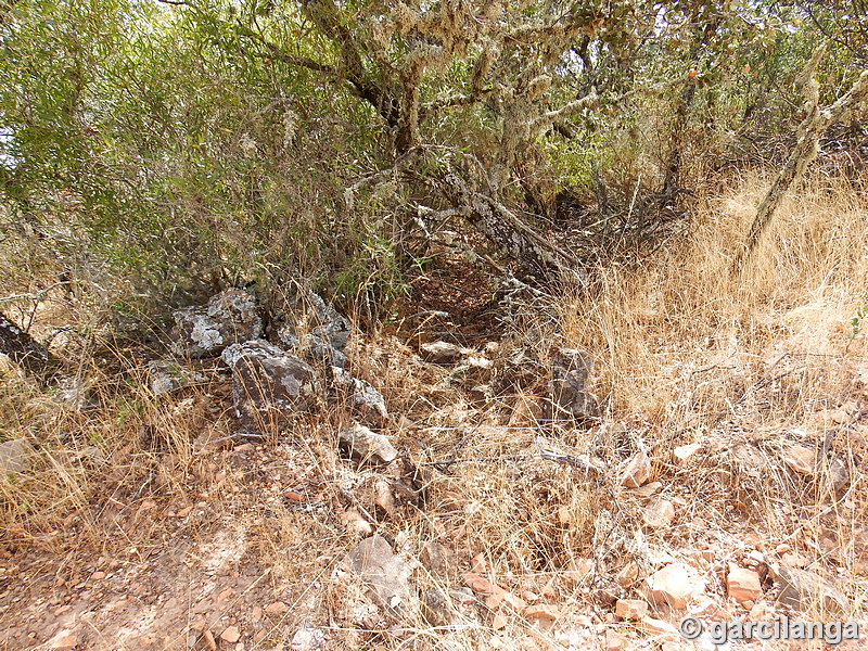 Trincheras de la Loma de Buenavista