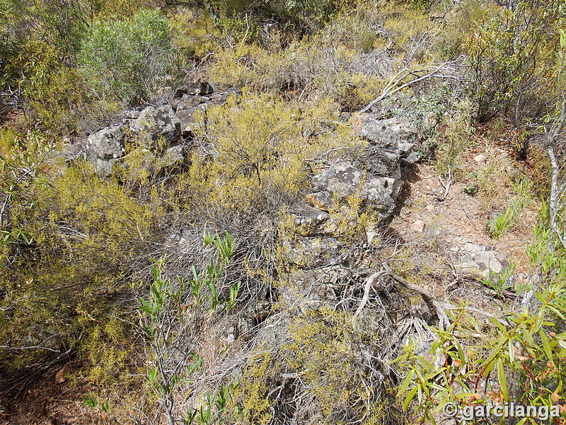 Trincheras de la Loma de Buenavista