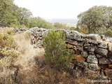 Trincheras de la Loma de Buenavista