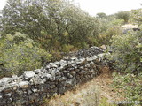 Trincheras de la Loma de Buenavista