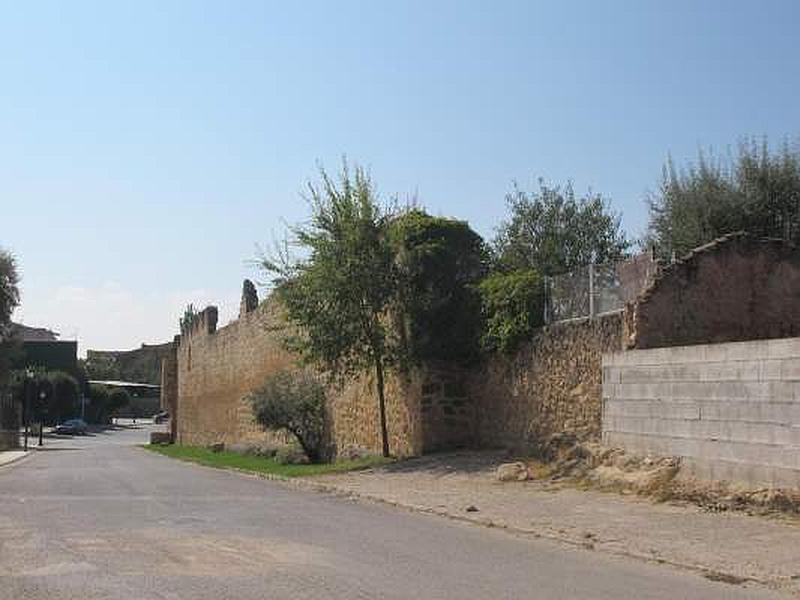 Muralla urbana de Buendía