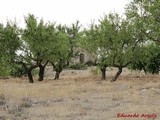 Torre de la Huerta