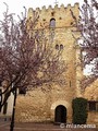 La Torre Vieja