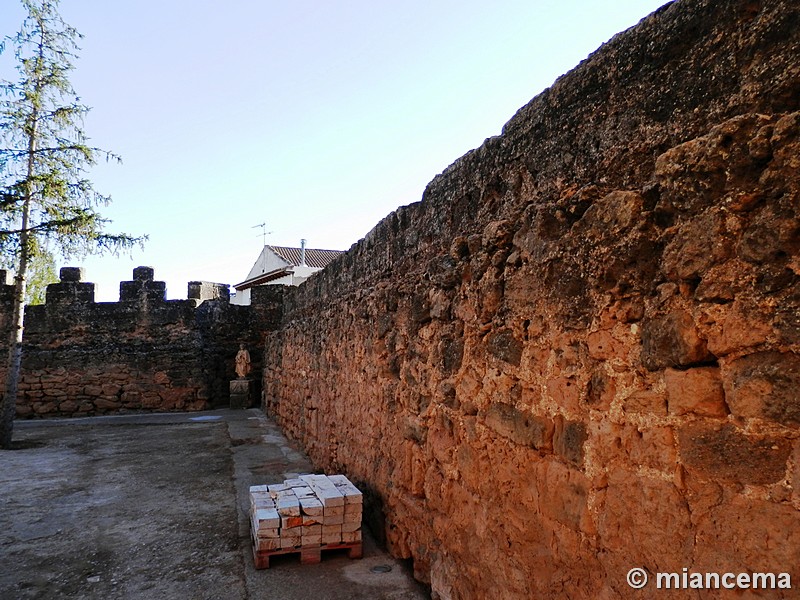 Castillo de Villanueva de la Jara