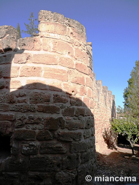 Castillo de Villanueva de la Jara