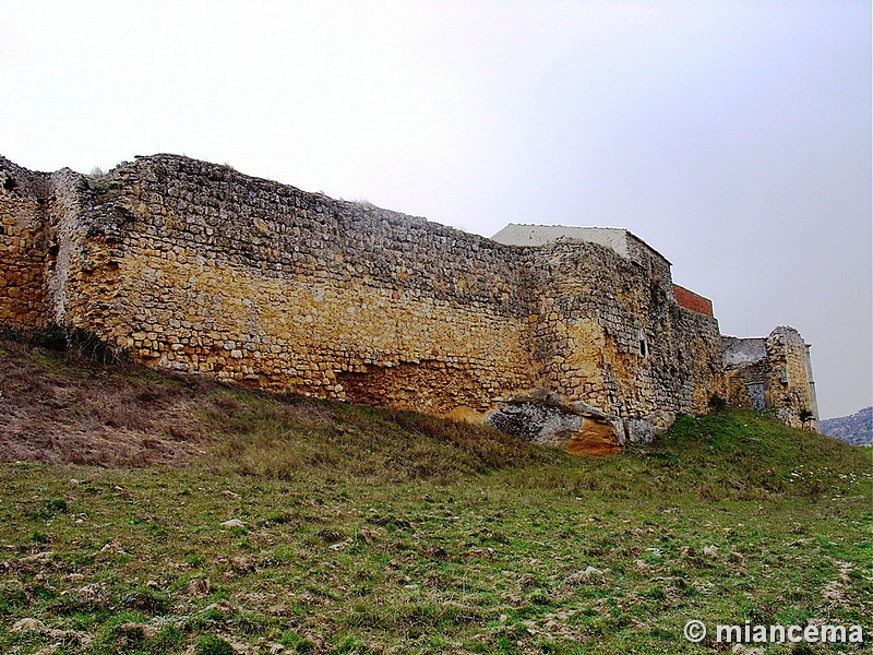 Castillo de Huerta de la Obispalía