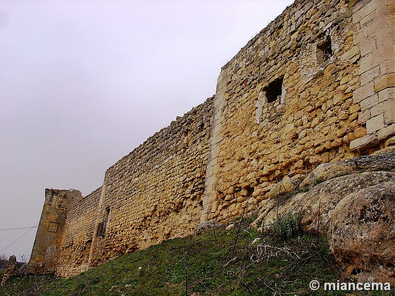 Castillo de Huerta de la Obispalía