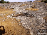 Poblado de la Cava