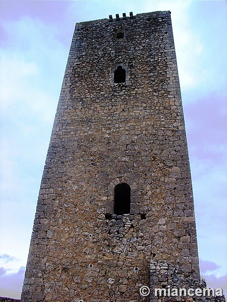 Torre y Puerta del Campo