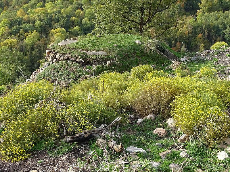 Búnker I de Torre Cavallera