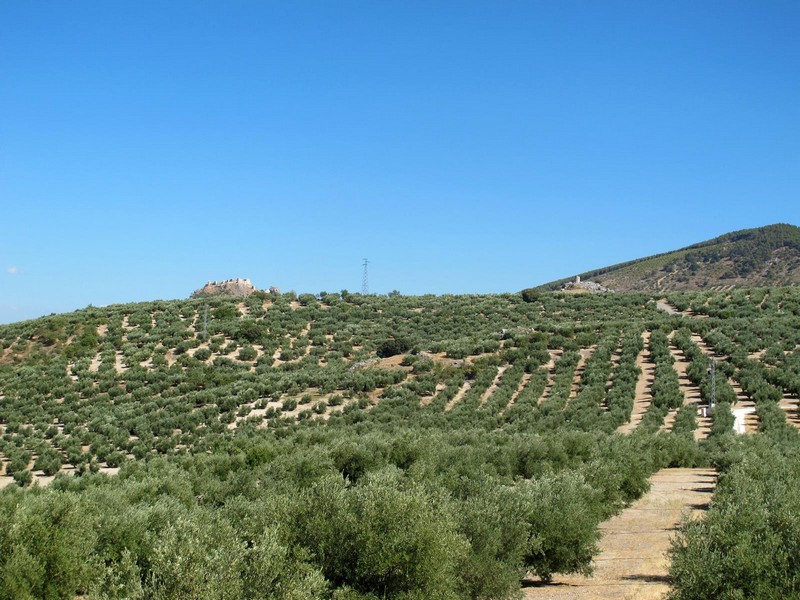 Castillo de Moclín