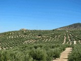 Castillo de Moclín