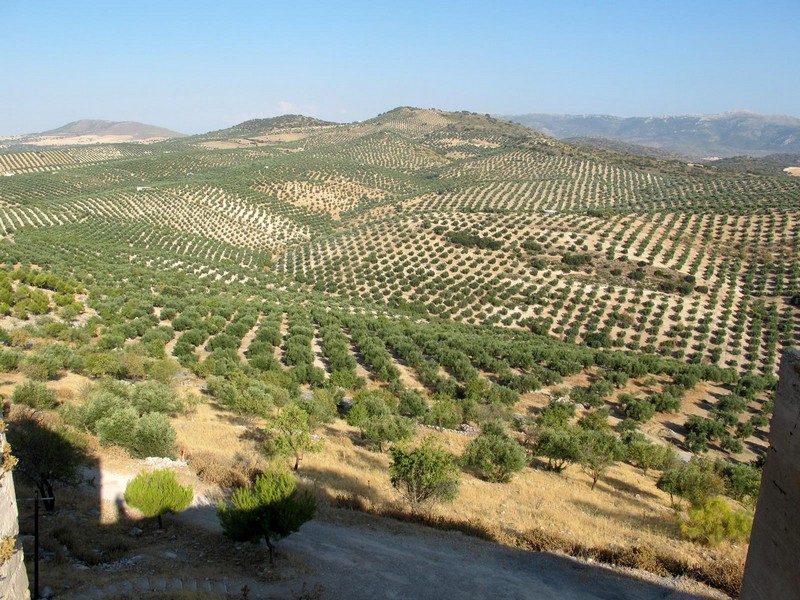 Castillo de Píñar