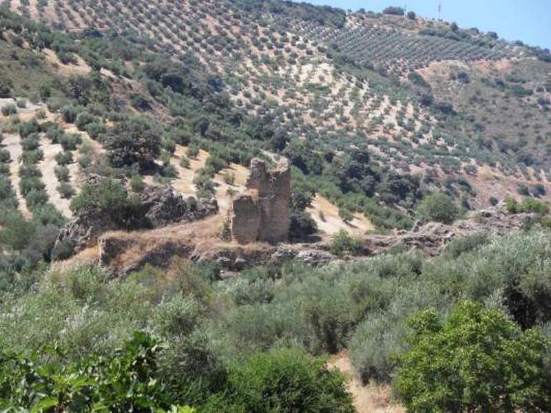 Castillo de Torre Pesquera