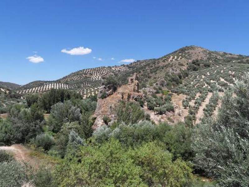 Castillo de Torre Pesquera