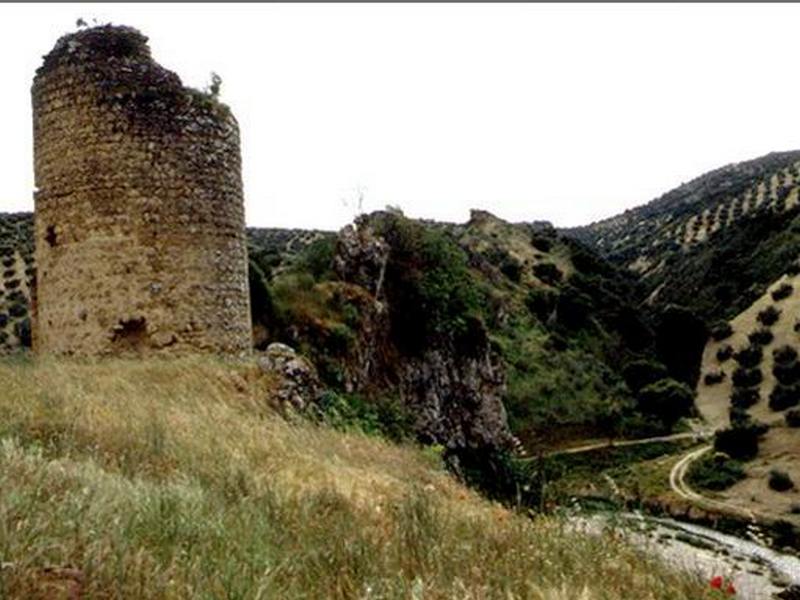 Castillo de Torre Pesquera