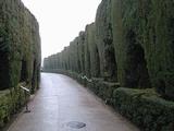 Alcazaba de La Alhambra