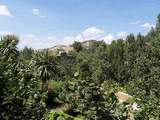 Alcazaba de La Alhambra