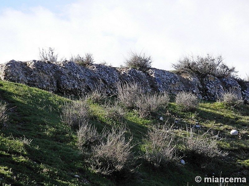 Castillo de Cortes de Baza