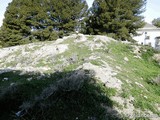 Castillo de Cortes de Baza