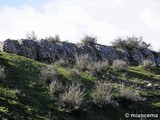 Castillo de Cortes de Baza