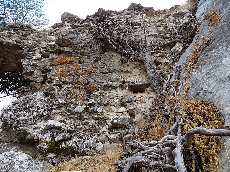 Castillo de Peñas