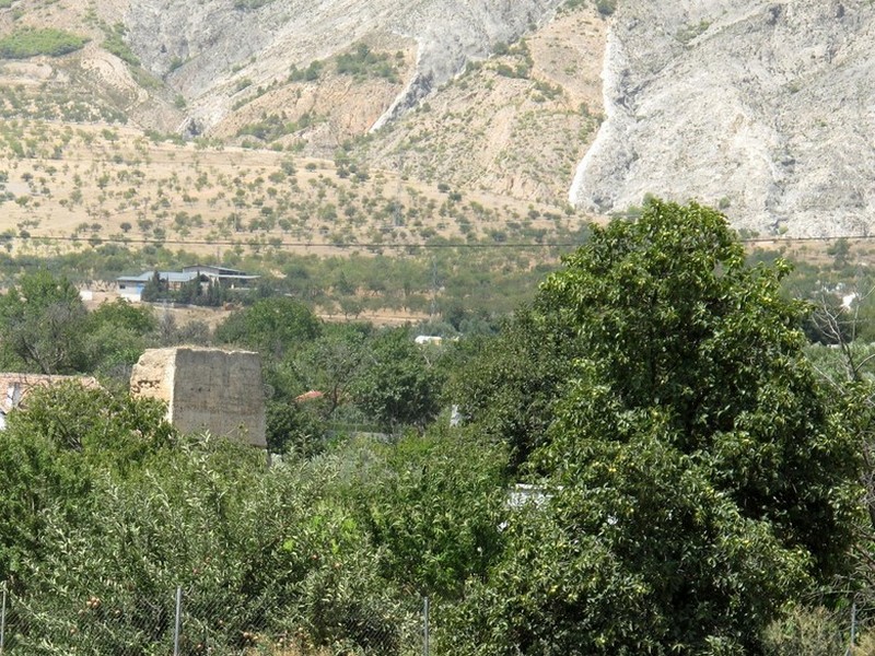 Torre Marchena