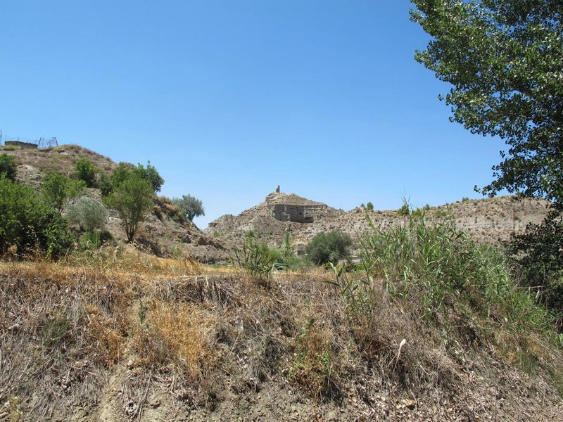 Torre de las Palomas