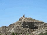 Torre de las Palomas