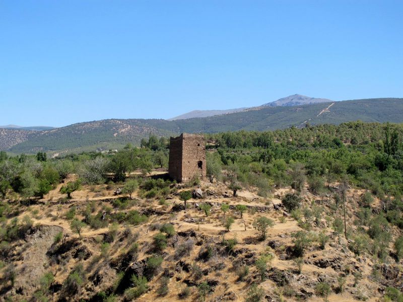 Torre Alcáraz