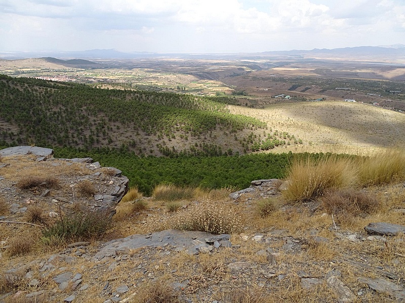 Castillo del Barranco Secano